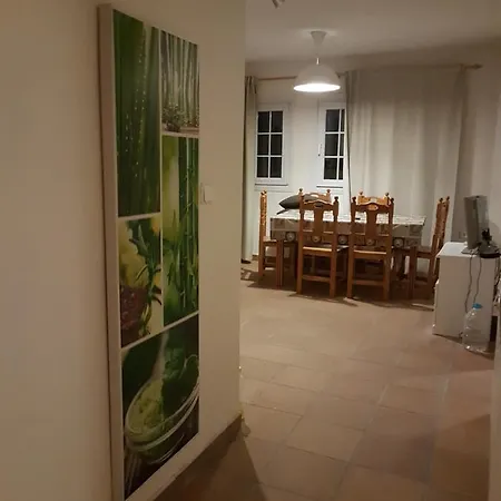 Arttyfal Elite * סיירה נבדה